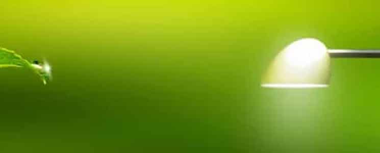 Green-spread-with-leaf-1024x362-720x208 Green-spread-with-leaf-1024x362-720x208